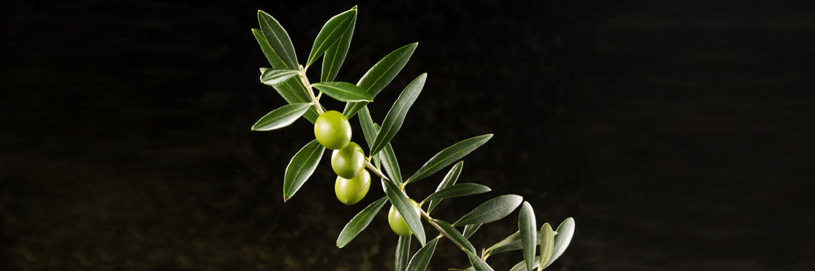 Extravirgin Olivenöl